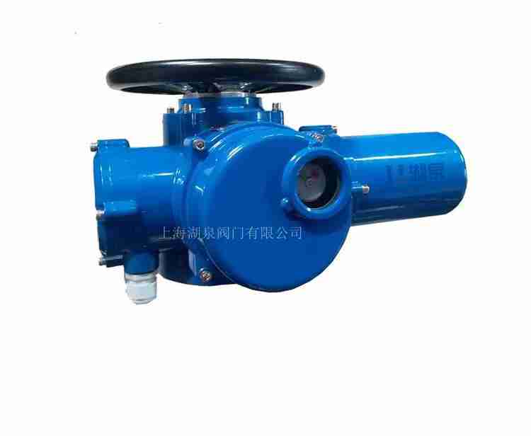 電動執(zhí)行器